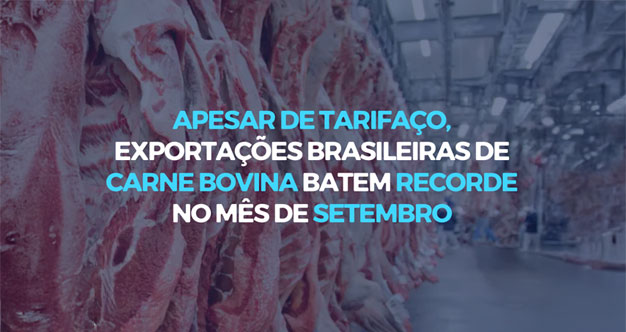 Analítica Negócios Internacionais - Analítica Negócios Internacionais - soluções logísticas e tributárias e excelência em Comércio Exterior!