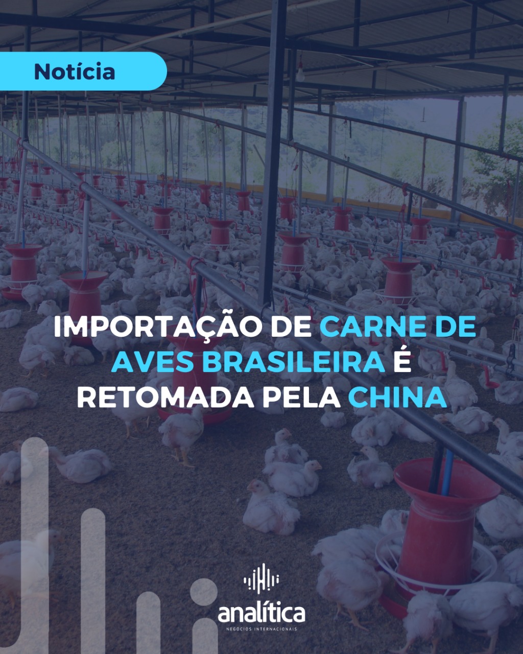 Analítica Negócios Internacionais - noticias Analítica Negócios Internacionais - noticias